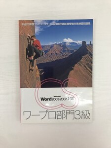 [GY2947] 平成23年度版 コンピュータサービス技能評価試験 表計算部門3級 受験対策練習問題集 2011年6月1日 第1版第1刷 九州文化出版