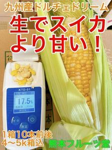 感動の生かじり！九州産 とうもろこし【ドルチェドリーム】10本前後セット（約4〜5kg箱込）32