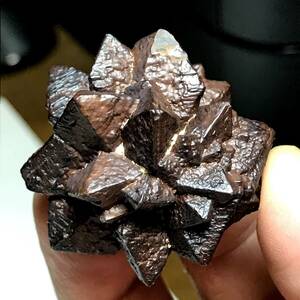 理想的な形状のエジプト産褐鉄鉱・ゼットストーン・預言石・49g（エジプト産鉱物標本）