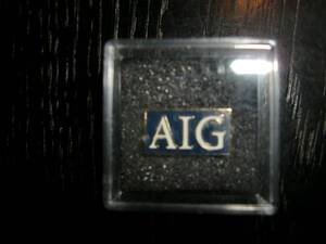 希少　ＡＩＧ　社章　スポンジ台ケース付き　美品