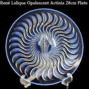 不気味 妖しい★ルネ・ラリック アクティニア 28㎝オパルセント大皿 1933 lalique actinia プレート 鉢 ボウル 