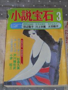 小説宝石 1976年3月号 田辺聖径、太田径子　他