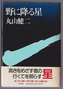 野に降る星　丸山健二　文藝春秋　1990年