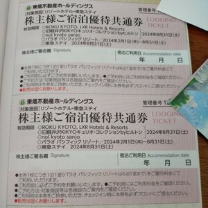 2枚☆東急不動産ホールディングス株主優待券☆リゾートホテル・東急ステイご宿泊共通券・2024年8月31日期限♪