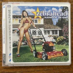 Zebrahead CD playmate of the year ゼブラヘッド