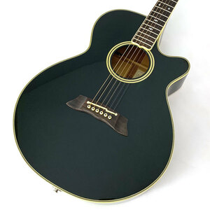 Takamine NPT-110 エレアコ/タカミネ/店頭/他モール併売《楽器・山城店》A2971