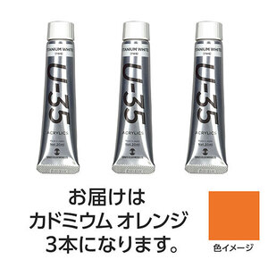 【3本×3セット】 ターナー色彩 U35 カドミウムオレンジ20ml TURNER108638X3 /l