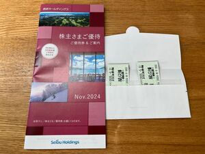 西武ホールディングス 株主優待 300株以上500株未満 ご優待券&ご案内 + 株主優待乗車券 2枚 2025/05/31まで有 株主優待冊子デパート