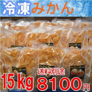 冷凍みかん 1５kg（1ｋｇ×1５袋）　訳あり　宮崎県産　温州みかん　ご自宅用　ご家庭用