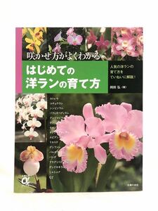 ■咲かせ方がよくわかる■はじめての洋ランの育て方■園芸・ガーデニング