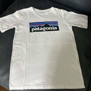 パタゴニア キッズ　半袖Tシャツ XL(14)