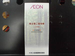 送料込　イオン・マックスバリュ株主優待券１０，０００円分　(イオン北海道 ）