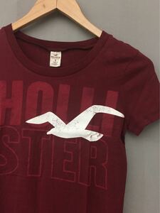 ! ホリスター HOLLSTER レディース Ｔシャツ 半袖 トップス ボルドー えんじ色 紅色 あずき色 鳥 バード カモメ ビッグロゴ&