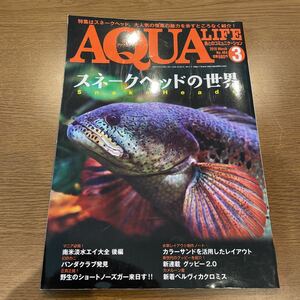 月刊アクアライフ 2018 No.464 スネークヘッドの世界　チャンナバルカ