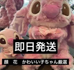 ディズニー　スティッチ　サクラ　SAKURA セット　ぬいぐるみ　キーホルダー