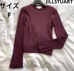 JILLSTUART ニット　袖デザイン　かわいい　レディース