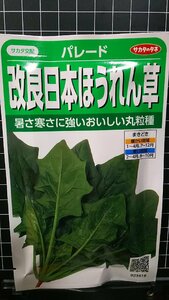 ３袋セット 改良 日本ほうれん草 パレード ホウレンソウ 種 郵便は送料無料