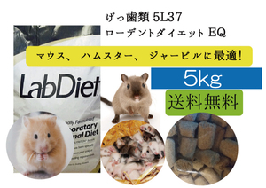 【大特価セール中】5ｋｇ【ハムスター、マウス用】ローデントダイエット ＥＱ　 5L37 Lab Diet