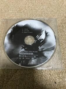 BUG／非売品DVD、D