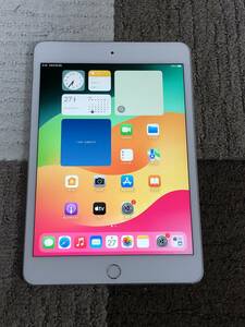 iPad mini5 WiFi 256GB A2133 充電321回 良品 初期保証有 送料無料　1円スタート