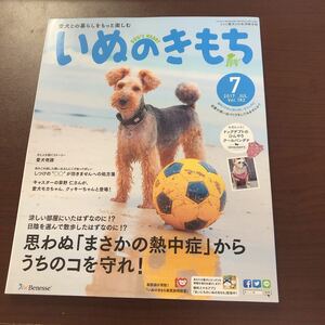 ☆いぬのきもち 2017年7月号 Vol.182☆