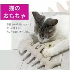 【愛猫との美しい生活 】nekoiru 猫のおもちゃ シンプルな骨の形