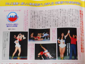 週刊プロレス1991年5月21日号　ジャパン女子プロレス横浜文化体育館・キューティー鈴木VSプラム麻里子、全日本女子プロレス・大田区体育館