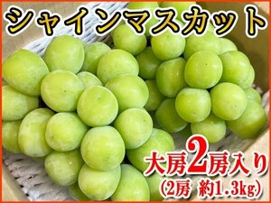 【Good】今季最終！！種なしぶどう『シャインマスカット』 2房 約1.3kg