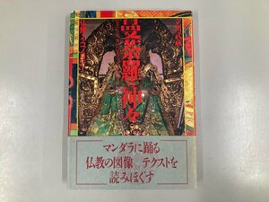 ★　【曼荼羅の神々 仏教のイコノロジー 立川武蔵 1987年 ありな書房】190-02406