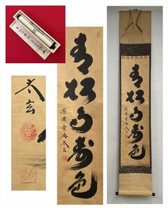 【千寿】大徳寺派 黄梅院 小林太玄 青松寿色多 一行書 紙本 d607◆箱/茶道具/古美術/時代品/掛軸/100023831