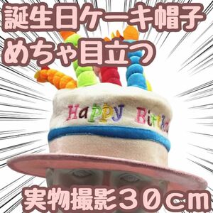 ケーキ　誕生日　コスプレ 被り物 かぶりもの　帽子58cm【残5限定】