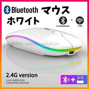 Bluetooth5.2 + 2.4Ghz マウス 充電式 LEDレインボー ワイヤレスマウス 無線マウス 静音 ブルートゥース Windows Mac Bluetooth ホワイト