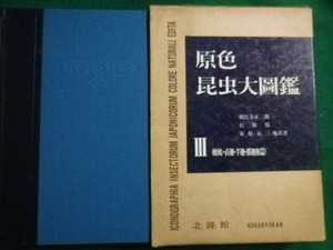 ■原色昆虫大図鑑3　蜻蛉・直翅・半翅・膜翅他篇　朝比奈正二郎　北隆館■FAIM2022091504■