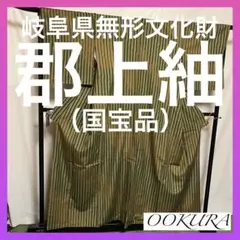 ☘️早い者勝ち☘️【国宝品】●岐阜県無形文化財【郡上紬】●幻の紬●草木染●紬●着物●