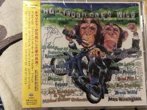 ★非売品CD「HOLLYWOOD GOES WILD」Brad Pitt /Johnny Depp&Iggy Pop/Dogster promo only japan sample ジョニーディップ ブラッドピット