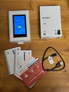 SONY ウォークマン WALKMAN NW-A306 DAP グレー