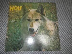 DARRYL WAY’S　WOLF”CAINS-LUPUS"