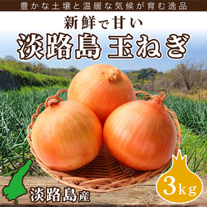 甘さ抜群！淡路島産新鮮玉ねぎB品3kg 産地直送