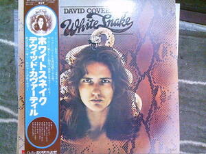 DAVID COVERDALE[ホワイトスネイク]LP 帯付 