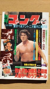 別冊ゴング 1981年4月号