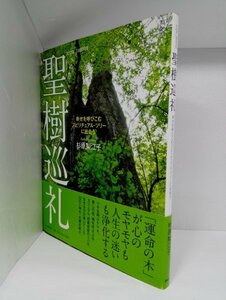 聖樹巡礼 幸せを呼びこむスピリチュアル・ツリーに出会う 杉原梨江子/PHP研究所【即決】