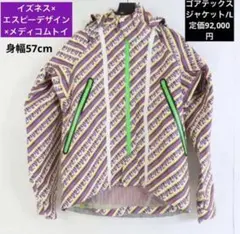 ☆ イズネス× エスピーデザイン×メディコムトイ ゴアテックス ジャケット/L