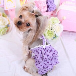 マナーパンツ 犬 通販 女の子 布 ポリエステル 生理 ドッグウェア 犬の服 小型犬 パープルL