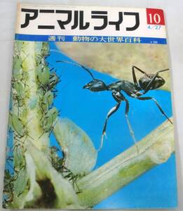 古書◆雑誌◆S46年 週刊アニマルライフ第１０号 ◆ アリゲーター★アリスイ★アリドリ★アリバチ