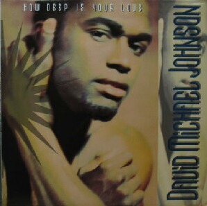 $ DAVID MICHAEL JOHNSON / HOW DEEP IS YOUR LOVE ( AQ 0118 ) YYY265-3060-5-14 ビージーズ 名曲をハウス・カバー！ 