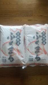 新米 精米したて米10kg (5kg×2袋)ふくまる(隠れた銘品) 令和6年産 精米令和6年9月中旬　茨城県産