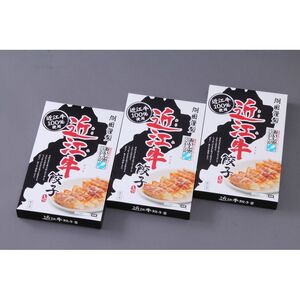 〔グルメギフト〕味紀行うち川 近江牛餃子詰合せ