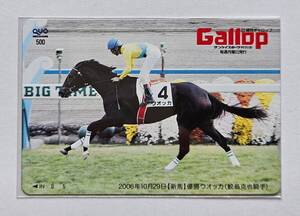 Gallop抽プレクオカ【新馬】ウオッカ