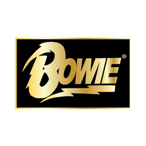 David Bowie ピンバッジ デヴィッド・ボウイ Rect Logo Lapel Pin