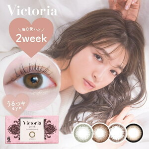 ヴィクトリア 2week by キャンディーマジック Victoria 2箱 6枚入り 度あり 度なし 2週間 カラコン キャンマジ